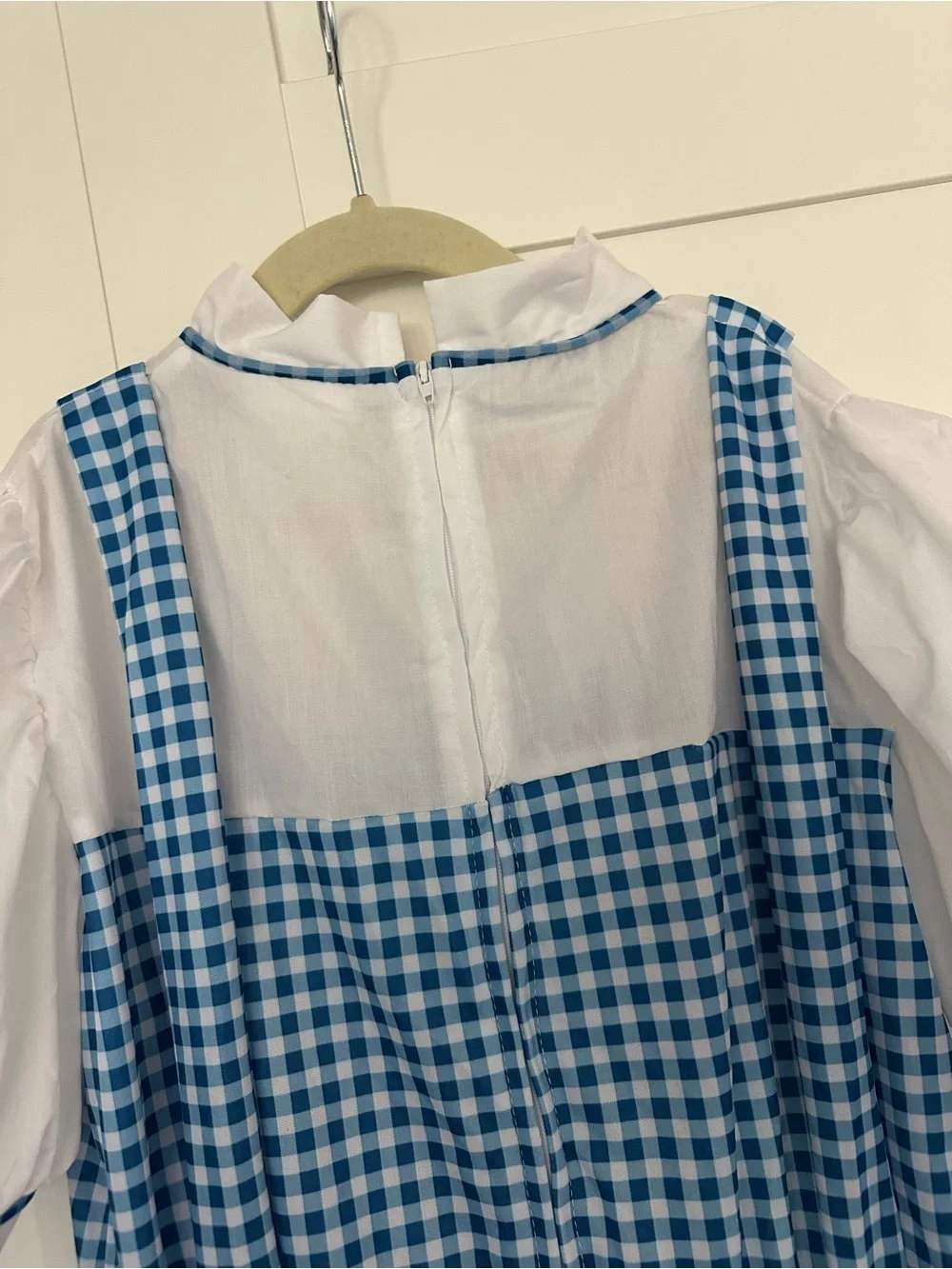 Rubies The Wizard of Oz: Dorothy Costume for Kids, Girls